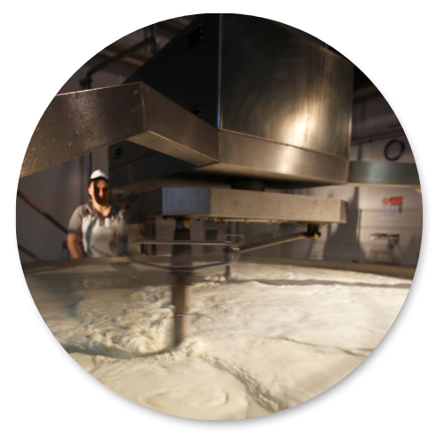 laboratorio caseario del Caseificio Alto But